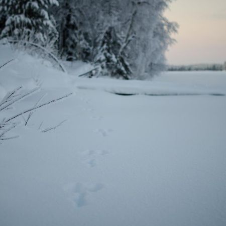 Saenkelae Cottage Lämsä Exteriör bild