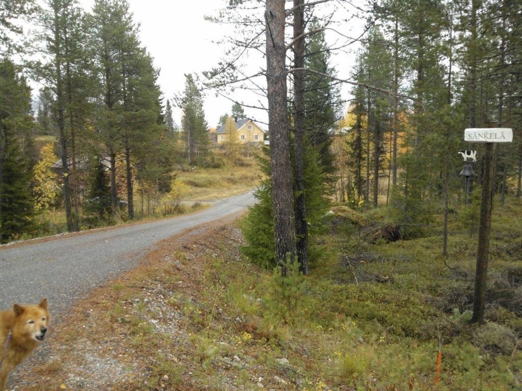 Saenkelae Cottage Lämsä Exteriör bild