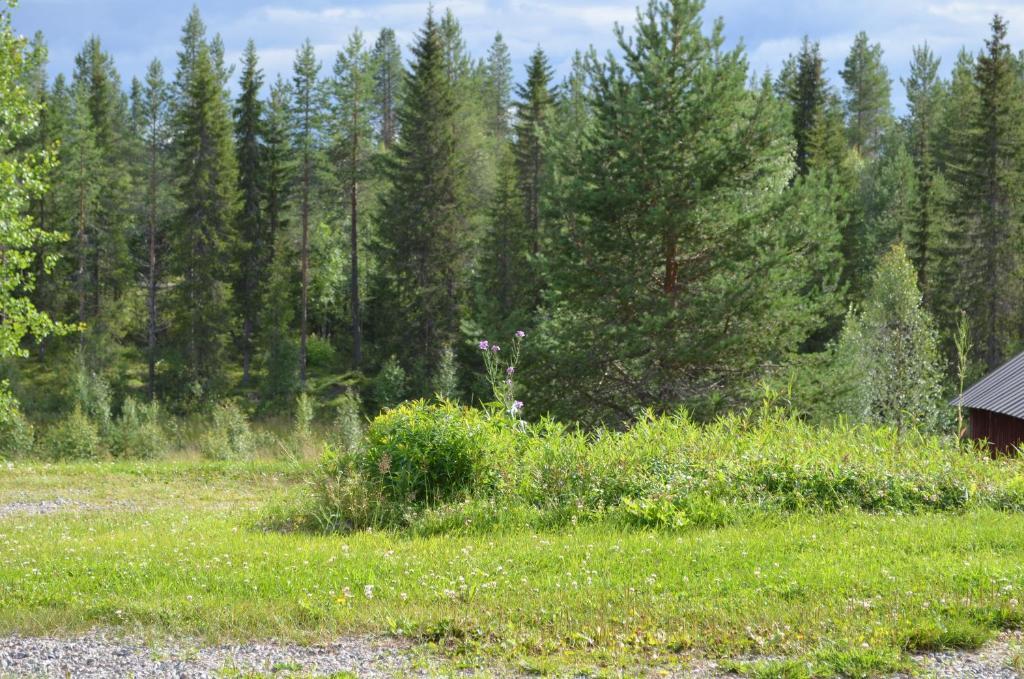 Saenkelae Cottage Lämsä Exteriör bild